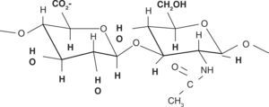Estructura de la molécula del ácido hialurónico. Fuente Directa.