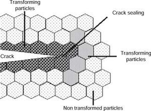Representation of stress-induced transformation resistance process.