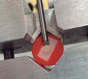 Shear test in the universal mechanical test appliance Instron® model 5567 USA.