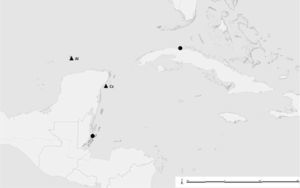 Distribution map of Ophioderma ensiferum. (•) Previous records. (▴) New records in Mexican waters: Al, Alacranes Reef; Cz, Cozumel Island.