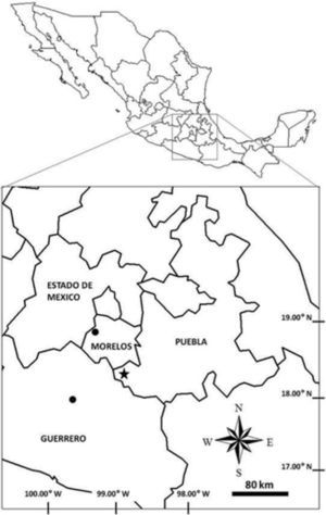 Mapa del centro de México que muestra el sitio del presente registro de Musonycteris harrisoni en El Salado, municipio de Jolalpan, Puebla (estrella negra) y los sitios más cercanos (puntos negros) de registro previo de la especie, al noreste del registro actual en un sitio cercano a Palpan, Morelos y al suroeste, en un sitio cercano a Mezcala, Guerrero, México.