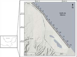 Study area with the location of the 13 beaches registered.