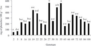 Phenolics content of 20 selected genotypes of hawthorn fruits of the germplasm bank of the Universidad Autónoma de Chapingo, Mexico.