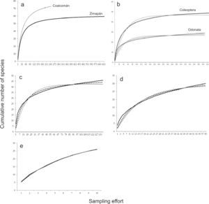 a), Landscape cumulative species curves for Odonata larval assemblage from Coalcomán and aquatic Coleoptera assemblage from Zimapán generated by the Clench model; b), site cumulative curves of Coleoptera and Odonata larvae from Rio San Francisco; site cumulative curves of aquatic Coleoptera from c) El Saucillo, d) San Juan and e) Tula river. From b-e observed data (full black line), Clench model (dashed line) and linear dependence model (grey full line). a), Landscape cumulative species curves for Odonata larval assemblage from Coalcomán and aquatic Coleoptera assemblage from Zimapán generated by the Clench model; b), site cumulative curves of Coleoptera and Odonata larvae from Rio San Francisco; site cumulative curves of aquatic Coleoptera from c) El Saucillo, d) San Juan and e) Tula river. From b-e observed data (full black line), Clench model (dashed line) and linear dependence model (grey full line).