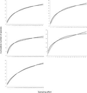 Cumulative species curves of Odonata larval assemblages in Coalcomán. a), Chichihua; b), Colorín; c), Estanzuela; d), Pinolapa, and e), Ticuiz. Observed data (full black line), Clench model (dashed line) and linear dependence model (grey full line). Cumulative species curves of Odonata larval assemblages in Coalcomán. a), Chichihua; b), Colorín; c), Estanzuela; d), Pinolapa, and e), Ticuiz. Observed data (full black line), Clench model (dashed line) and linear dependence model (grey full line).