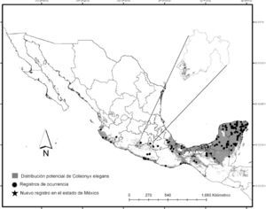 Distribución potencial del grupo Coleonyx elegans en México.