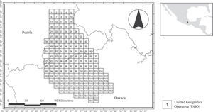 Unidades geográficas operativas (UGO) del Valle de Tehuacán-Cuicatlán definidas en el estudio. Cuadros de 5' latitud x 5' longitud.