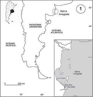 Mapa del área de estudio mostrando la ubicación de la ría del Jabalí en la bahía Anegada.