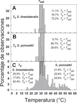 Distribución de la Tc de Sceloporus lineolateralis (A), Sceloporus poinsettii (B) y la To (C) de la localidad de “La Concha”, Peñón Blanco, Durango. El área sombreada identifica el intervalo de Tsel para cada especie, en C se observa el intervalo para ambas especies. Se indica el porcentaje de Tc y To que fue superior, inferior y el que estuvo dentro del intervalo Tsel para cada especie.