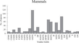 Number of mammal species by guild. Carnivore: ground hunter-diurnal (CGHD), carnivore: ground hunter-nocturnal (CGHN), carnivore: freshwater forager (CFWF), frugivores: arboreal forager-diurnal (FAFD), frugivores: arboreal forager-nocturnal (FAFN), frugivores: ground forager-diurnal (FGFD), granivore: arboreal forager-diurnal (GAFD), granivore: arboreal forager-nocturnal (GAFN), granivore: ground forager-diurnal (GGFD), granivore: ground forager-nocturnal (GGFN), herbivore: arboreal forager-diurnal (HAFD), herbivore: arboreal forager-nocturnal (HAFN), herbivore fossorial (HF), herbivore: ground forager-diurnal (HGFD), herbivore: ground forager-nocturnal (HGFN), herbivore: freshwater forager (HFWF), grazers (G), insectivore: aerial hawker-nocturnal (IAHN), insectivore: arboreal forager (IAF), insectivore fossorial: (IF), insectivore ground forager-diurnal (IGFD), insectivore: ground forager-nocturnal (IGFN), insectivore forager-nocturnal (IFN), nectarivore-nocturnal (NN), sanguinivore (S), omnivore-diurnal (OD), omnivore-nocturnal (ON).