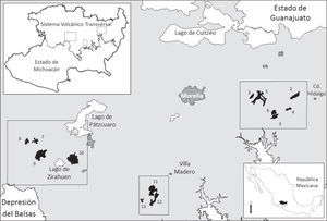 Ubicación geográfica de los 13 fragmentos de bosque mesófilo de montaña registrados por la serie II de Inegi para el año 2000. Cuadro o ventana izquierda es denominado Zirahuén, centro Tacámbaro-Villa Madero y derecha Mil Cumbres.
