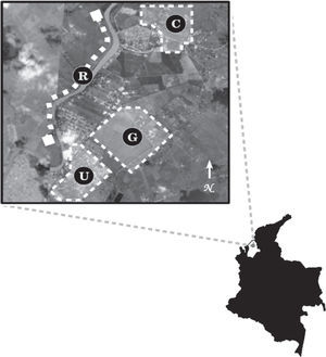Distribution of surveyed habitats nearby Monteria City, Cordoba State, Colombia. R= riparian habitats, C= crop fields, G= cattle grazing lands, U= urban areas.