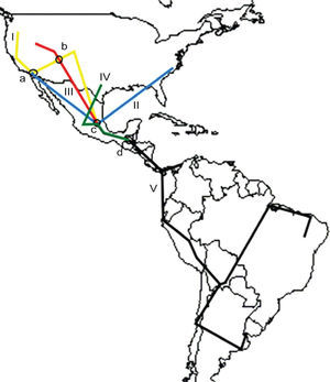 Generalized tracks and nodes obtained. I, Western North American; II, Central North American; III, Eastern North American; IV, Mesoamerican; V, South American; a, b, c, and d, nodes located in California, Colorado, Santa María Amajac, and Guatemala, respectively.