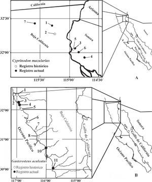 A) Registros de distribución históricos y actuales de Cyprinodon macularius y B) Gasterosteus aculeatus en la península de Baja California, México (ver Apéndice 2 para número de localidad y toponimia).