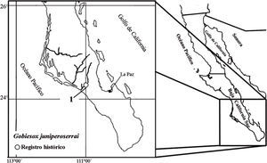 Registro de distribución de Gobiesox juniperoserrai en Baja California Sur, México (ver Apéndice 2 para número de localidad y toponimia).