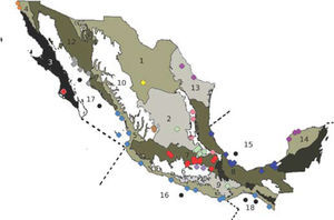 Distribución de las especies de ciliados por provincias biogeográficas (1-14) (Conabio, 1997) y ecorregiones marinas (15-18) (Spalding et al., 2007).