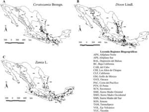 Los 3 géneros mexicanos de las cícadas de la familia Zamiaceae ubicadas en sus regiones biogeográficas.