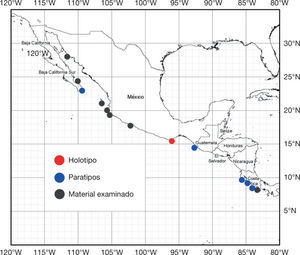Mapa que muestra las localidades de los registros de la serie tipo y los ejemplares de Ginglymostoma unami sp. nov. examinados. La distribución de la especie se restringe al Pacífico oriental tropical.