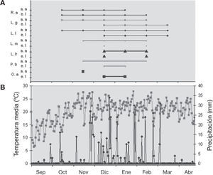 A: actividad acústica (a.a) y estadios larvales (e.l) de cada especie* durante el periodo de muestreo entre septiembre 2008 y abril 2009; B: temperatura media (°C) y precipitación (mm) diarias.*Especies/species: O.a (Odontophrynus americanus), P.b (Physalaemus biligonigerus), L.lr (Leptodactylus latrans), L.m (Leptodactylus mystacinus), L.g (Leptodactylus gracilis), L.l (Leptodactylus latinasus) y R.a (Rhinella arenarum).