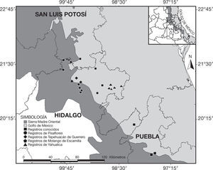 Distribución geográfica de Lithobates johni en las provincias biogeográficas Sierra Madre Oriental y Golfo de México. Los cuadros negros representan los registros históricos de la especie; los círculos, rombos, pentágonos y triángulos, representan los registros nuevos en los municipios de Pisaflores, Tepehuacán de Guerrero, Molango de Escamilla y Yahualica, respectivamente.