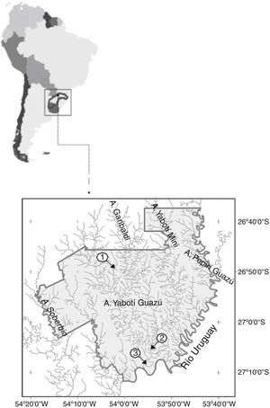 Área de estudio arroyo Yabotí: 1, cuenca alta; 2, cuenca media; 3, cuenca baja.