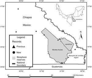 Location of previous and new records of amphibians and reptiles in the Lacandona rainforest, Mexico.