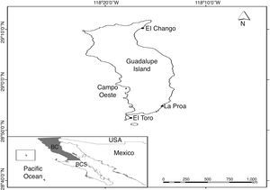 Location of Isla Guadalupe and sampling site.