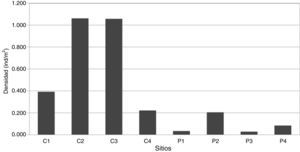 Densidad (ind/m2) de cada especie en los sitios de muestreo. C: cordillera; P: parche.
