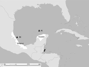 Distribution map of the species in the Gulf of Mexico (▴ new records: Al, Alacranes Reef; Bl, Blake Reef).