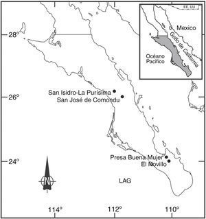 Localización de los 4 oasis estudiados en el estado de Baja California Sur, México.