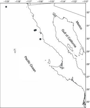Distribution of Chorilia turgida Rathbun, 1924 off the west coast of Baja California, Mexico. (■) Record of Garth (1958); (●) present study records.