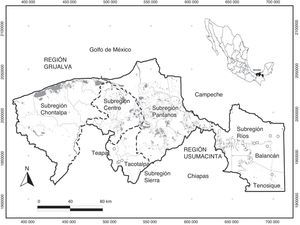 Regionalización de Tabasco. Regiones Grijalva y Usumacinta, y sitios de recolecta (subregiones Sierra y Ríos).