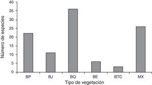 Riqueza de helechos y licofitas encontrada en cada tipo de vegetación presente en Cardonal.