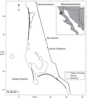 Localización de los hábitats en los que se distribuye el chorlo nevado (Charadrius nivosus) en San Quintín, B. C., México.