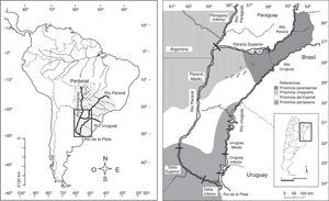 Área de estudio mostrando los grandes ríos de la cuenca del Plata en América del Sur (izquierda) y los tramos de los ríos Paraná, Uruguay y Paraguay, separados por una línea transversal negra; y las regiones fitogeográficas comparadas (derecha).