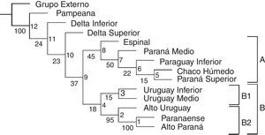 Cladograma obtenido con PAE comparando los tramos de los grandes ríos de la cuenca del Plata y las regiones fitogeográficas. Valores de Jacknife se muestran debajo de las ramas y en los nodos se indican los números usados en la tabla 3.