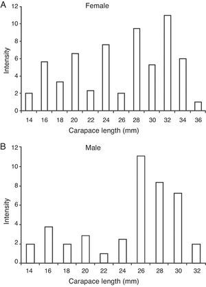 Intensity of Haematoloechus pulcher metacercariae versus carapace length (mm) in Cambarellus montezumae. (A) Females; (B) males.
