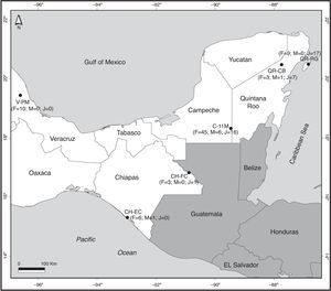 Map of sites where Brachypelma vagans was observed in Southeast Mexico. F, numbers of female individuals; M, number of male individuals; J, number of juvenile individuals. For codes of sites see Table 1. The number of wandering males found close to but not inside each sampling area is not considered in this figure.