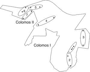 Ubicación de los sitios en el Bosque Los Colomos, Guadalajara, Jalisco, México. Casuarina (1 y 7), pino (2 y 5), eucalipto (3 y 6), vegetación secundaria (4) (adaptada del anexo cartográfico Bosque Los Colomos, 2010: elaborada por L. A. Navarrete-Quiroz).