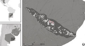 Study areas in the grassland relicts of Buenos Aires province (Argentina) where the amphibian surveys were performed. 1, Las Ánimas; 2, Sierra del Tigre Natural Reserve. Darker gray surface represents the Tandilean highland grasslands.