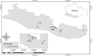 Área de estudio y sitios de muestreo en donde se encontraron poblaciones de Zamia paucijuga y Eumaeus toxea en la provincia fisiográfica Costa de Oaxaca. Las coordenadas y el tipo de vegetación de los sitios están en la tabla 1.