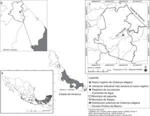 a) Distribución potencial de Coleonyx elegans en México (tomada de Monroy-Vilchis et al., 2014). b) Distancia al registro más próximo. c) Registro actual de Coleonyx elegans en el norte de Veracruz, México.