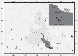 El ejido de San José Axuxco se encuentra en el sur de Puebla y colinda con Oaxaca. La ventana muestra el arreglo espacial de las estaciones de muestreo en el ejido y dentro de los límites de la Reserva de la Biosfera Tehuacán-Cuicatlán (RBTC). El mapa indica la ubicación geográfica de San José Axuxco (cuadrado) en relación con los registros conocidos de Leopardus wiedii (círculos) y Puma yagouaroundi (triángulos) en el centro de México.