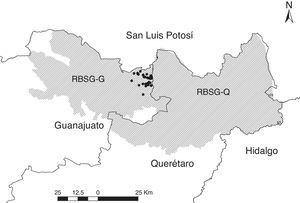 Ubicación geográfica de las Reservas de la Biosfera Sierra Gorda de Guanajuato (RBSG-G) y Querétaro (RBSG-Q). Los puntos negros indican la ubicación de los sitios de muestreo.