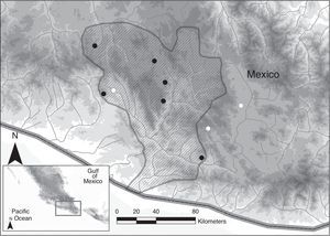 Map showing sampling points for the species: P. mixtlanensis sp. nov. (black circles) and P. oaxacae (white circles).