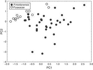 Bivariate plot of PCA results from morphometric measurements after allometric regression. Solid circles correspond to P. mixtlanensis sp. nov. and white to P. oaxacae. PC1 explains 91.73% of the variance, whereas PC2 explains 2.79% of the variance.