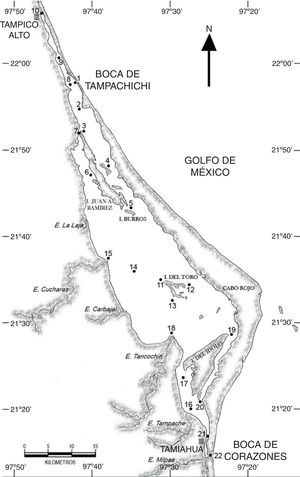 Área de estudio y ubicación de estaciones de muestreo en la laguna de Tamiahua, Veracruz, México (2011).
