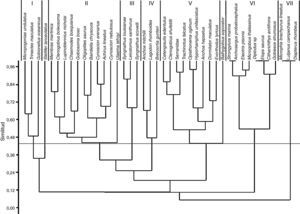 Dendrograma de similitud de especies a partir de la abundancia de larvas de peces (número de larvas/100m3), definido por el índice de disimilitud de Bray-Curtis, grupos pareados. Laguna de Tamiahua, Veracruz, México.
