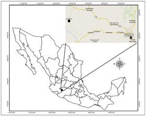 Known geographical distribution of Centruroides ruana sp. nov.: type-locality (•) and Apatzingán (▵), Michoacán, Mexico.