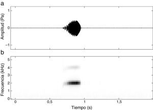 Sonograma (a) y espectrograma (b) de un canto de anuncio representativo de Eleutherodactylus grandis. Duración del canto: 191.6ms. Frecuencia dominante: 2059.4Hz. Registrado el 14 de julio de 2011. Temperatura 15.8°C y un 83% de humedad relativa. Tasa de muestreo: 22kHz y 512 puntos de FFT.